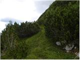 Planina Blato - Teme (Hribarice)